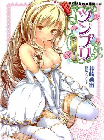 [Kanzaki Misora × Buriki] Tsunpri Aisite Ohimesama manga cover