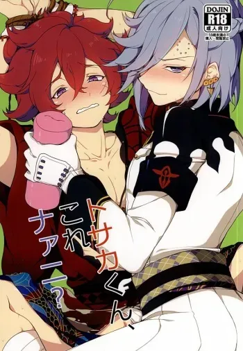 (SPARK10) [plug in (Ingha)] Tosaka-kun Kore Naani? (Bakumatsu Rock) manga cover