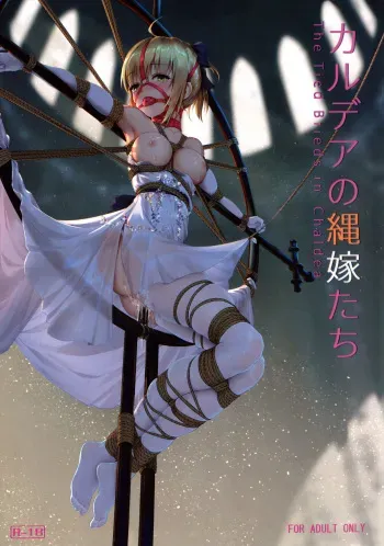 (C95) [Nawairo Sonata (Himitsu)] Chaldea no Nawa Yome-Tachi (Fate/Grand Order) manga cover