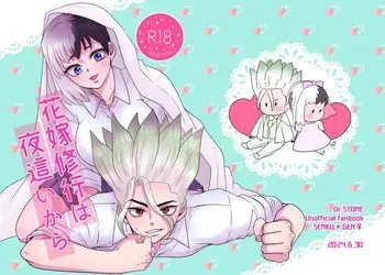 [ toma ] Hanayome shugyō wa yoru ￮ i kara(Dr. STONE) manga cover