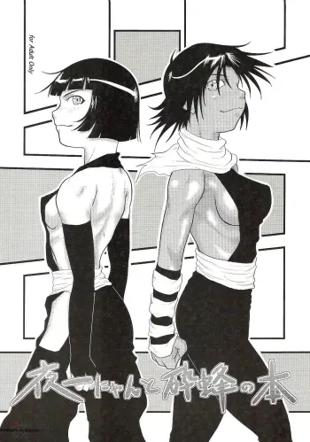 Yoruichi Nyan to Soi Fon no Hon manga cover