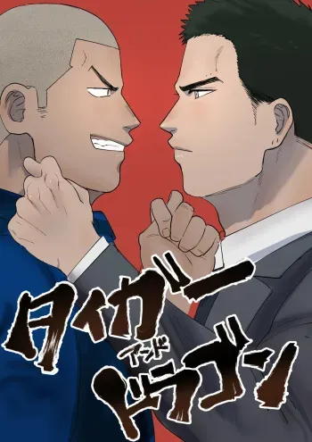Tiger & Dragon manga cover