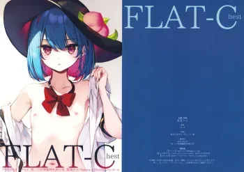 (Reitaisai 20) [Gekidoku Shoujo (ke-ta)] FLAT-Chest (Touhou Project) manga cover
