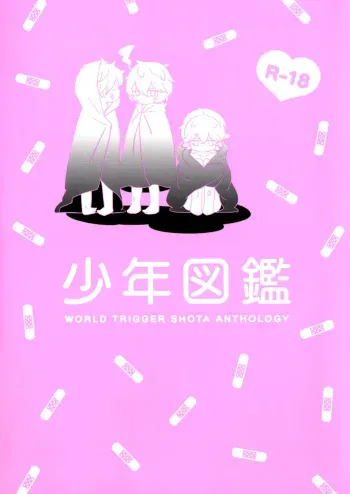 Shounen Zukan manga cover