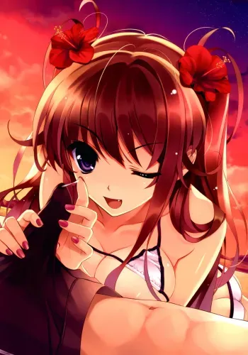 Gigantic Hentai Collection manga cover