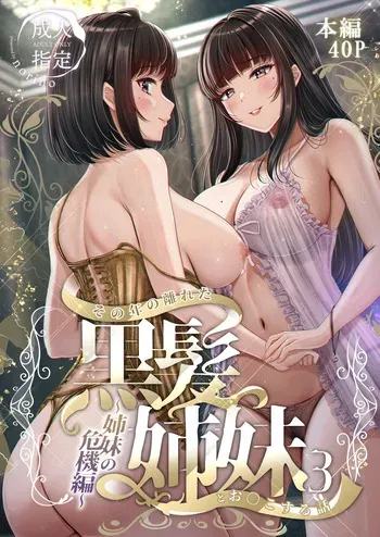 [&norino (norino)] Sono Toshi no Hanareta Kurokami Shimai to Omeko suru Hanashi 3 〜Shimai no Kiki Hen〜 manga cover