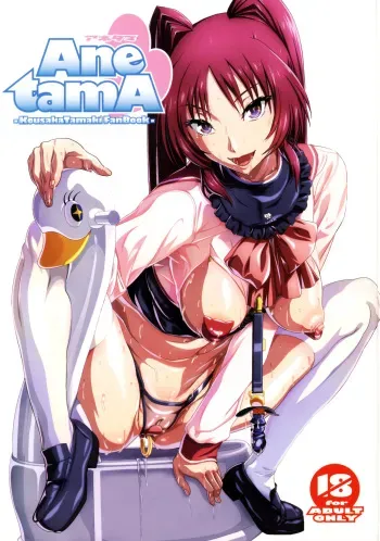 (COMIC1☆10) [MBL (Various)] Ane tamA -Kousaka Tamaki Funbook- (ToHeart2) manga cover