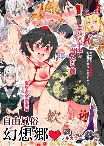 (Kouroumu 11) [Nyuu Koubou (Nyuu)] Jiyuu Fuuzoku Gensoukyou Fullcolor (Touhou Project) [Spanish] manga cover