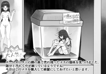 [Ruutyan] Home Center de Urenokotteita Boroboro no Mesu o Kirei ni Shiteageru to... manga cover