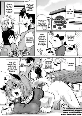 [Doumou] Nyanko na Hatsujouki | Entrando en celo como un gato (COMIC Unreal 2013-02 Vol. 41) [Spanish] [InF] manga cover