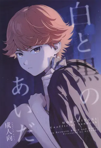 [Hattori (Chourui)] Shiro to kuro no aida (Hikaru no Go) manga cover