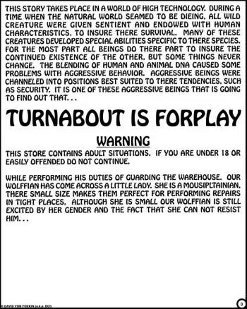 [David Von Foxkin] Turnabout is Forplay manga cover