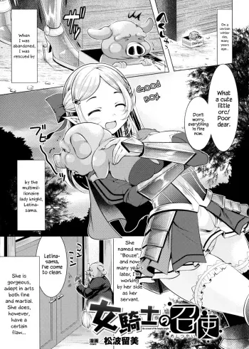 The Servant of the Lady Knight + Extra | Onna Kishi no Meshitsukai + Bangaihen manga cover