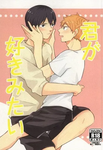 (SUPERKansai21) [Motchimochina Mochi (Motchiriko)] Kimi ga Suki Mitai (Haikyuu!!) manga cover