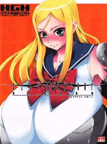 (COMIC1☆2) [HGH (HG Chagawa)] Slave Knight: Reborn manga cover