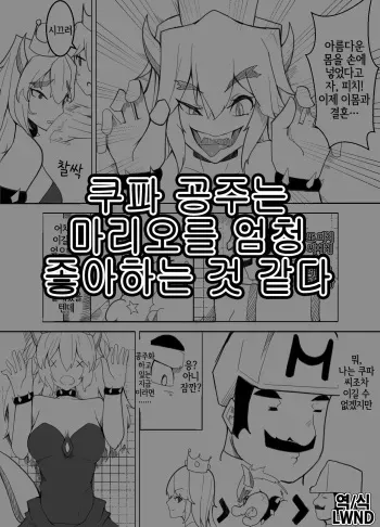 [Baa] Koopahime wa Mario Daisuki da to Omou | 쿠파 공주는 마리오를 엄청 좋아하는 것 같다 (New Super Mario Bros. U Deluxe) [Korean] [LWND] manga cover