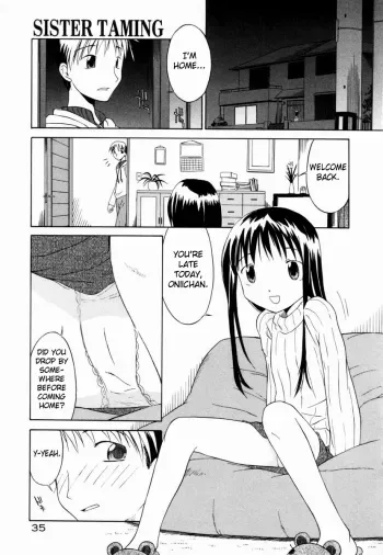 Sister Taming manga cover