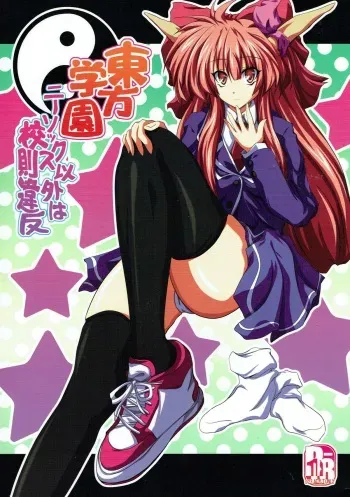 (Touhou Kenbunroku Owari no Maki) [Dokugiri (Dy)] Touhou Gakuen Knee Socks Igai wa Kousoku Ihan (Touhou Project) manga cover