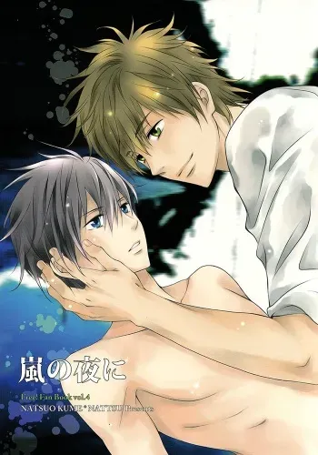 (C85) [NATTSU (Kume Natsuo)] Arashi no Yoru ni | In a stormy night (Free!) [English] manga cover