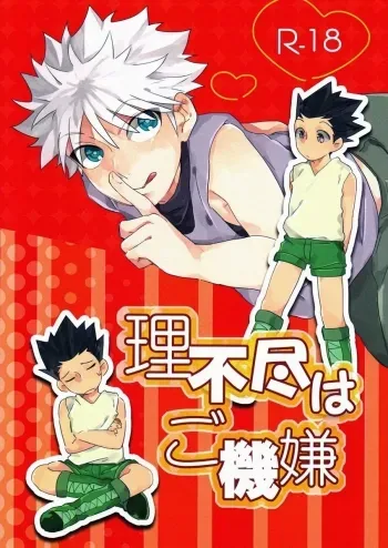 Hunter x Hunter dj â€“ Rifujin wa Gokigen manga cover