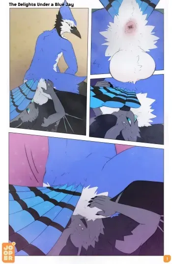 [Jooper (SeviperJ)] The Delights Under A Blue Jay manga cover
