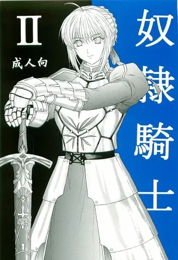 [KUSARI (Aoi Mikku)] Dorei Kishi II (Fate/stay night) [English] [SaHa] manga cover