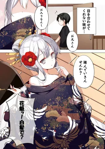 はまけん。花魁の妹が一日一回しか目を合わせてくれない。 manga cover