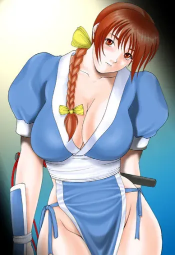 [Garakuta-ya] Garakuta-ya Dennou Koubou Vol. 12 Dead or Alive HARDCORE -Kasumi- (Dead or Alive) [Decensored] manga cover