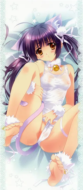 Carnelian 2010 Dakimakura Calendar manga cover