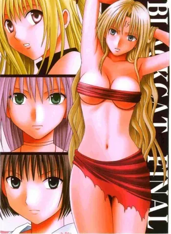 (C66) [Crimson (Carmine)] Black Cat Final (Black Cat) manga cover