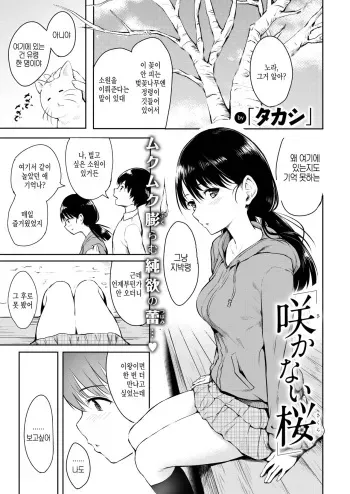 [Takashi] Sakanai Sakura | 피지 않는 벚꽃 (COMIC Kairakuten 2019-06) [Korean] [Digital] manga cover