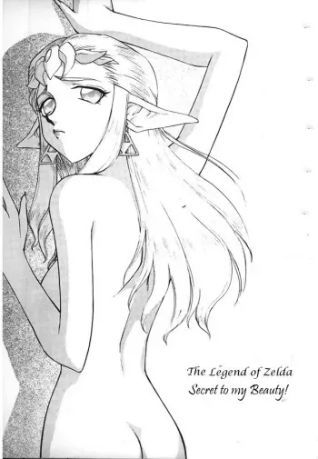 Legend of Zelda; Secret to my Beauty manga cover