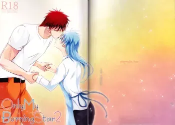 OnlyMyBurningStar2 manga cover
