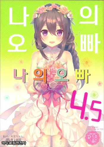 (C92) [TIES (Takei Ooki)] Watashi no, Onii-chan 4.5 Bangaihen | 나의오빠 4.5 [Korean] [그림판전사] manga cover