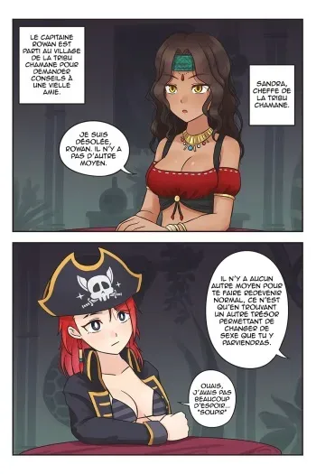 [RudySaki] Rowan the Red Hair #4 [French] [La Sainte Perv'] manga cover