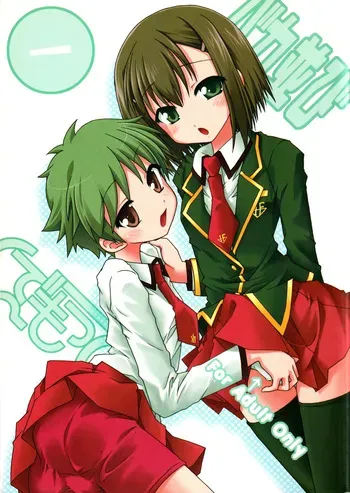(C75) [Ndemotte (200X ZOOM, KOIZUMI)] Baka Narabi (Baka to Test to Shoukanjuu) manga cover