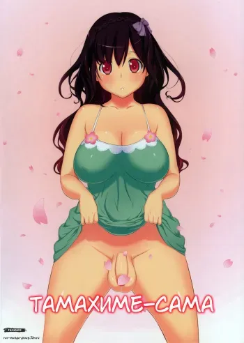 (Futaket 7) [OZONE (Marumiya)] Tamahime-sama [Russian] [FrancuZZ] manga cover