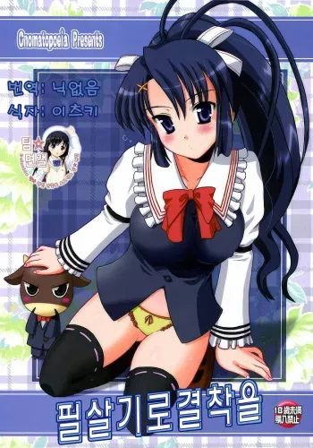 (C73) [Onomatopoeia (Yokoi Rego)] Hissatsuwaza de Kecchaku wo (Nagasarete Airantou) [Korean] manga cover