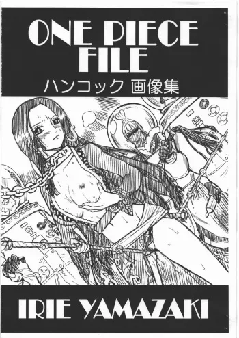 (COMIC1☆4) [Rat Tail (Irie Yamazaki)] ONE PIECE FILE Hancock Gazoushuu (One Piece) manga cover