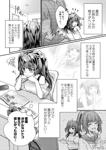 [Ichigo Syrup (Koori)] Tsundere Imouto Inbou Kaizou Keikaku manga cover