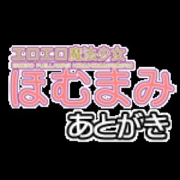 [Burisukeabara] Ero-ero Mahou Shoujo HomuMami (Puella Magi Madoka Magica) manga cover