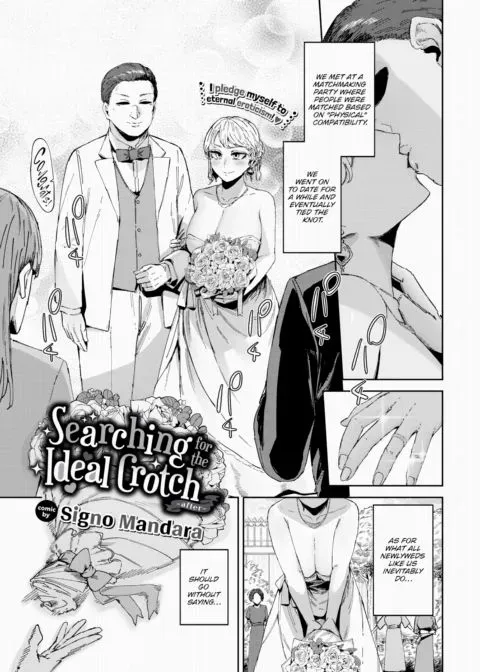 Searching For the Ideal Crotch ~After~ manga cover