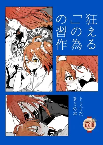 [ Hyōzan dai bakuha)][Tori guda matome hon kurueru “ ” no tame no shūsaku[[escape 2 fate grand order ) manga cover