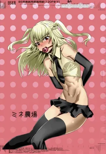 Inran Seibo Mariyasama manga cover