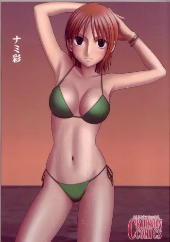 [Crimson Comics (Carmine)] Nami Sai (One Piece) manga cover