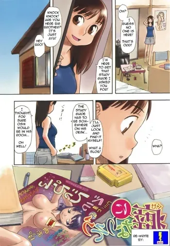 Her Brother Talks Her Into ItWrite by Bolt manga cover