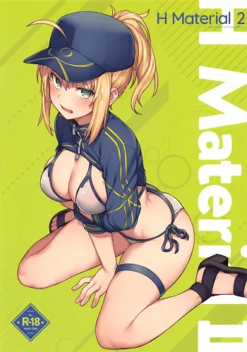 H Material 2 manga cover