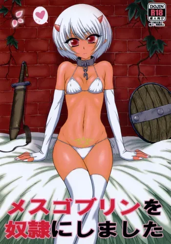 [BLACK DOG (Kuroinu Juu)] Mesu Goblin o Dorei ni Shimashita [french] manga cover