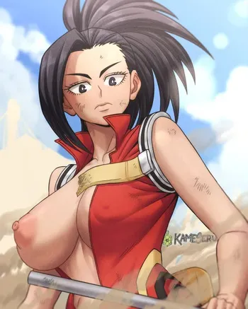 [Kameseru] My Hero Academia Collection manga cover
