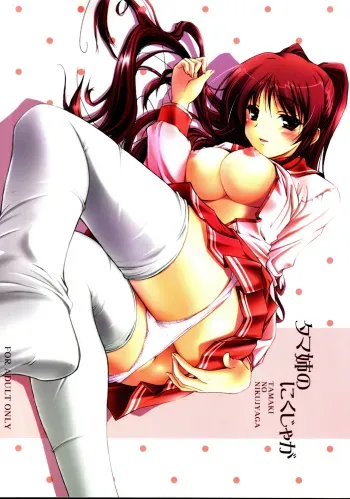 (C68) [KEMOKOMOYA (Komori Kei)] Tama-nee no Nikujaga (ToHeart 2) [English] manga cover